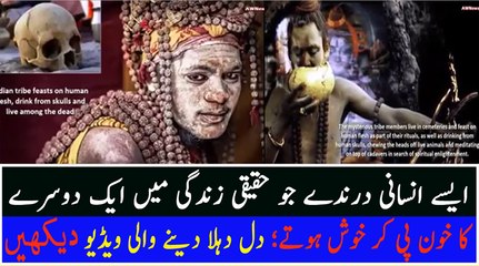 The blood of animals who are happy to work together in real life