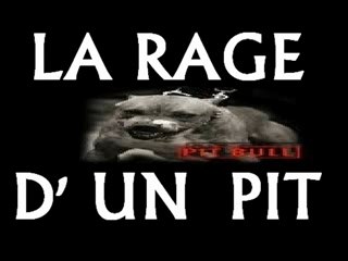 140 vs Demo: Anticipating New Tracks 🎶