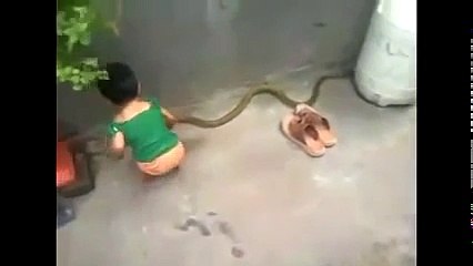 Indian Funny Videos 2016 | Best Whatsapp Funny Ever |   Kid play With Snake   2015