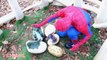 SPIDERMAN TREX Poo Prank Pooped Spiderman Baby Trex Kidnapped Amazing Superheroes Fun in Real Life