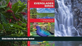 Deals in Books  Everglades Birds: A Folding Pocket Guide to Familiar Species (Pocket Naturalist