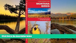 Deals in Books  Montana Birds: A Folding Pocket Guide to Familiar Species (Pocket Naturalist Guide