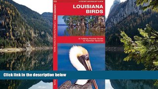READ NOW  Louisiana Birds: A Folding Pocket Guide to Familiar Species (Pocket Naturalist Guide