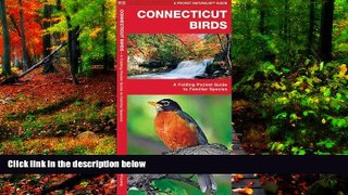 READ NOW  Connecticut Birds: A Folding Pocket Guide to Familiar Species (Pocket Naturalist Guide