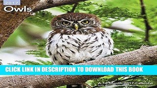 Ebook Owls Wall Calendar (2017) Free Read