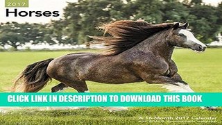 Best Seller Horses Wall Calendar (2017) Free Download