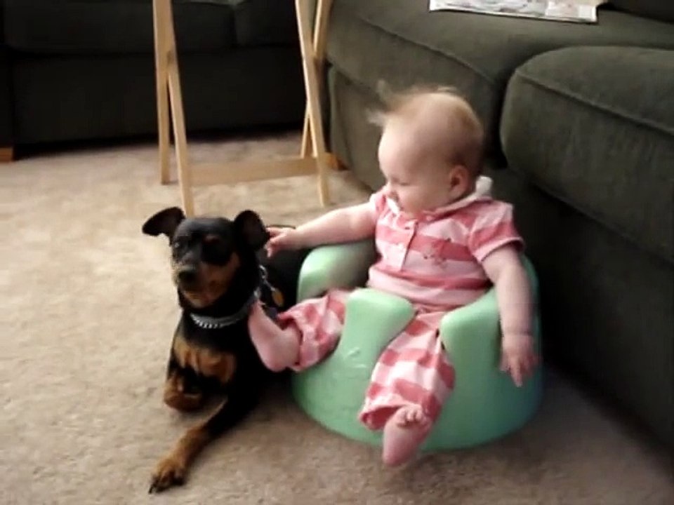 Baby Alissa & Hennessey the Miniature Pinscher