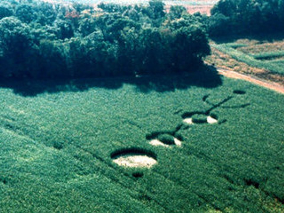 The "soupe aux choux"