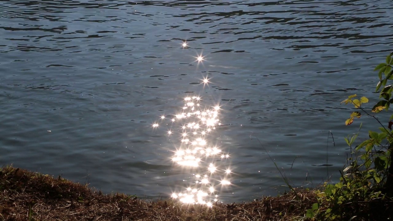 Aviron du Sud Grésivaudan : le défi Aviron 2016