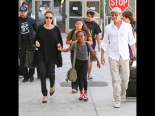 Brad Pitt seeking joint  custody of Kids