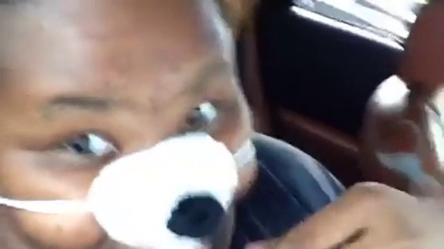 Mama zawozi kotka do szkoły