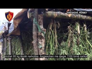 Gjenden dy kapanonë të vegjël me drogë, sekuestrohen 95 kg