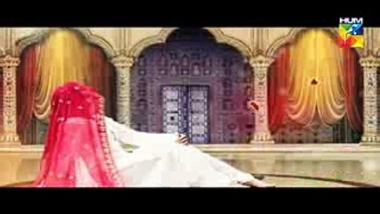 Laaj Episode 14 Full HD HUM TV Drama 5 November 2016