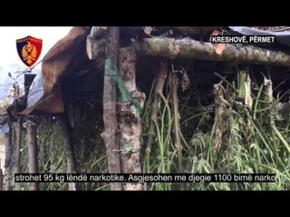 PA KOMENT: Përmet, evidentohen dy kapanone me 95 kg hashash - Top Channel Albania - News - Lajme