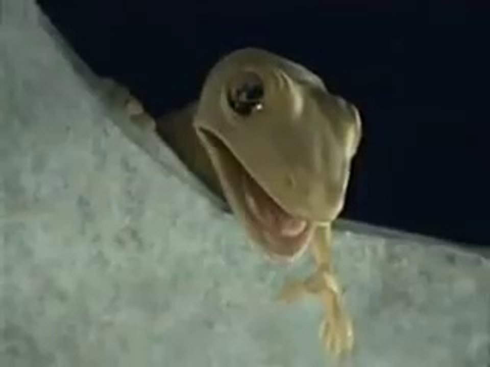 We Are Pakistani - Facebook[via torchbrowser.com]