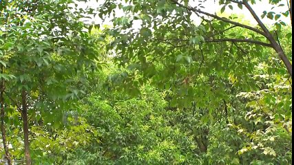 Lo Que Callamos Las Mujeres - Hasta que duela