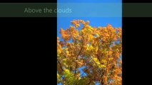Above The Clouds - Nostalgia - (1994 album) Is your spirit free-