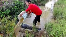 Beautiful Girl Fishing - Amazig Fishing at Battambang - Cambodia Traditional Fishing - (Part 3)