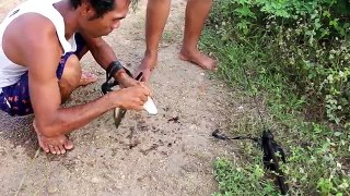 Wow! AMAZING Fishing By Gun - How To Fishing in Battambang - Catching Fish in cambodian