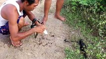Wow! AMAZING Fishing By Gun - How To Fishing in Battambang - Catching Fish in cambodian