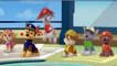 Paw Patrol Full Episodes Pups Save The Day 3D