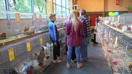 Hautes-Alpes : Pas moins de 2 500 animaux exposés à Laragne-Montéglin ce week-end