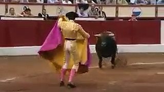 A MAN FIGHTS WITH BULL IN RING
