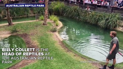 Man Proposes Inside Crocodile Enclosure