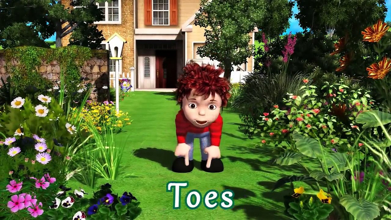 Head Shoulders Knees and Toes | Family Sing Along - Muffin Songs
