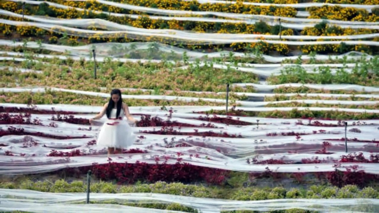 EDAN!! WANITA CANTIK Ini Mengenakan Gaun Pengantin TERPANJANG DI DUNIA