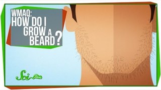 World's Most Asked Questions_ How Do I Grow a Beard