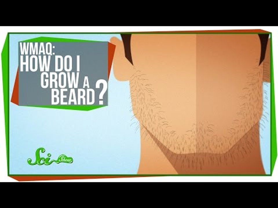 World's Most Asked Questions_ How Do I Grow a Beard