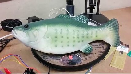 This Talking Bass Is The Future Of Technology