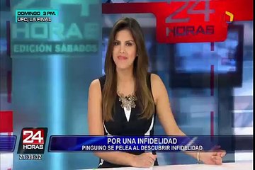 Twitter: Pingüino descubre ‘infidelidad’ y desata sangrienta pelea [VIDEO]