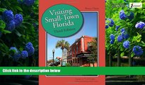 Big Deals  Visiting Small-Town Florida  Best Seller Books Most Wanted