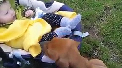 Guille y Cyrano - siempre amigos