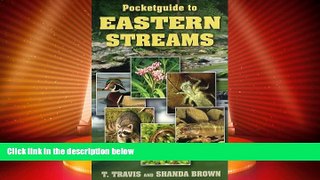 Big Deals  Pocketguide to Eastern Streams  Best Seller Books Best Seller