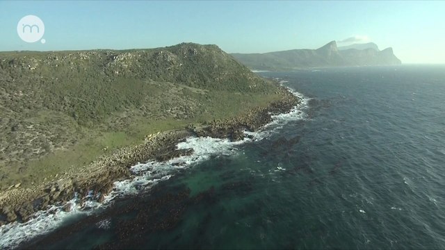 Два Океана 1 серия Подводные леса Африки (2011) HD1080p