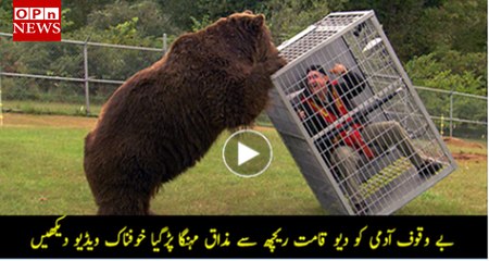 Brown Bear Attack - Bear Attack people