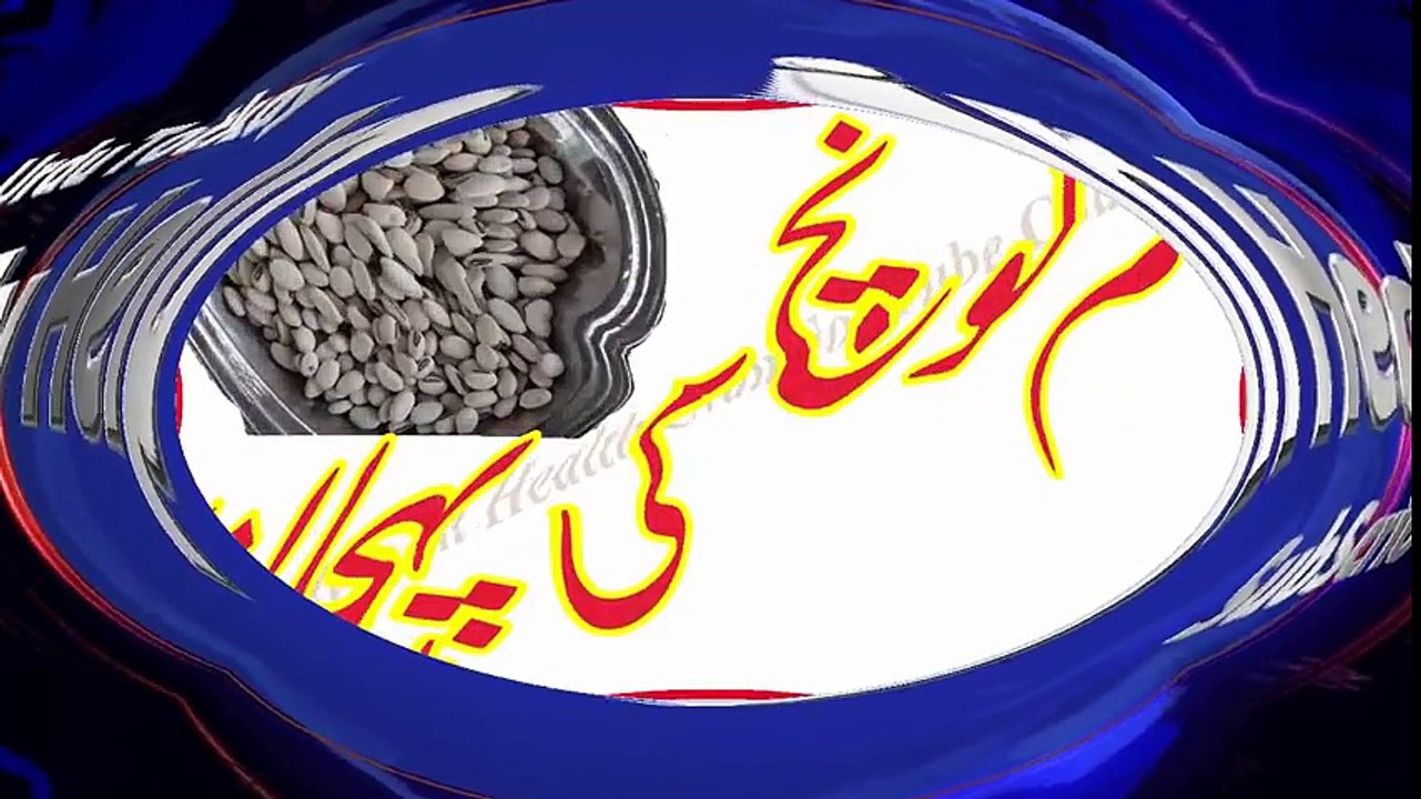 Tukhm Konch Ki Pehchan, Istemal, Aur Fayde   Complete Picture Introduction   By Hakeem Wasib
