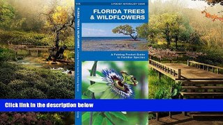 READ FULL  Florida Trees   Wildflowers: A Folding Pocket Guide to Familiar Species (Pocket