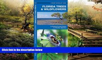 READ FULL  Florida Trees   Wildflowers: A Folding Pocket Guide to Familiar Species (Pocket