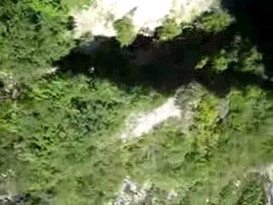 Saut à l'élastique