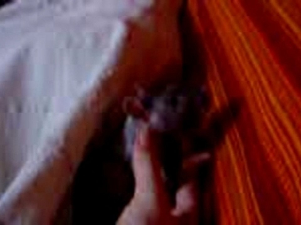 MOV03303