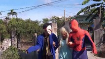 Frozen Elsa Careers lover Fun Spiderman movie in real life Hulk Maleficent, Joker, superheroes Pran