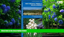 Books to Read  New Mexico Trees   Wildflowers: A Folding Pocket Guide to Familiar Species (Pocket
