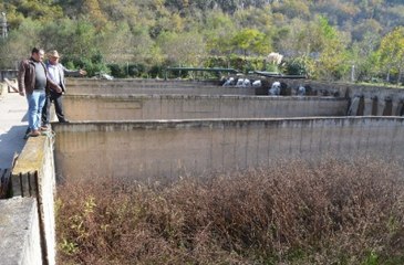 Milyonlarca Balık Üretimi Yapılan Havuzlarda Artık Ot Yetişiyor