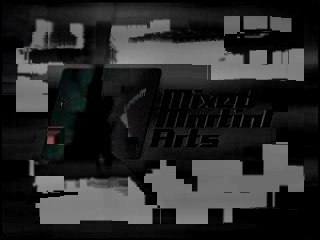 UFC Fighter, Joe Lauzon, Striking from Inside the Guard