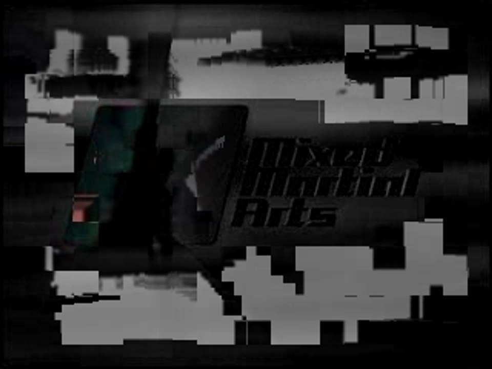 UFC Fighter, Joe Lauzon, Striking from Inside the Guard