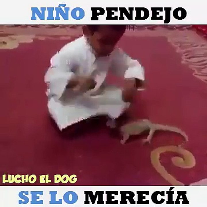 Por Maldoso